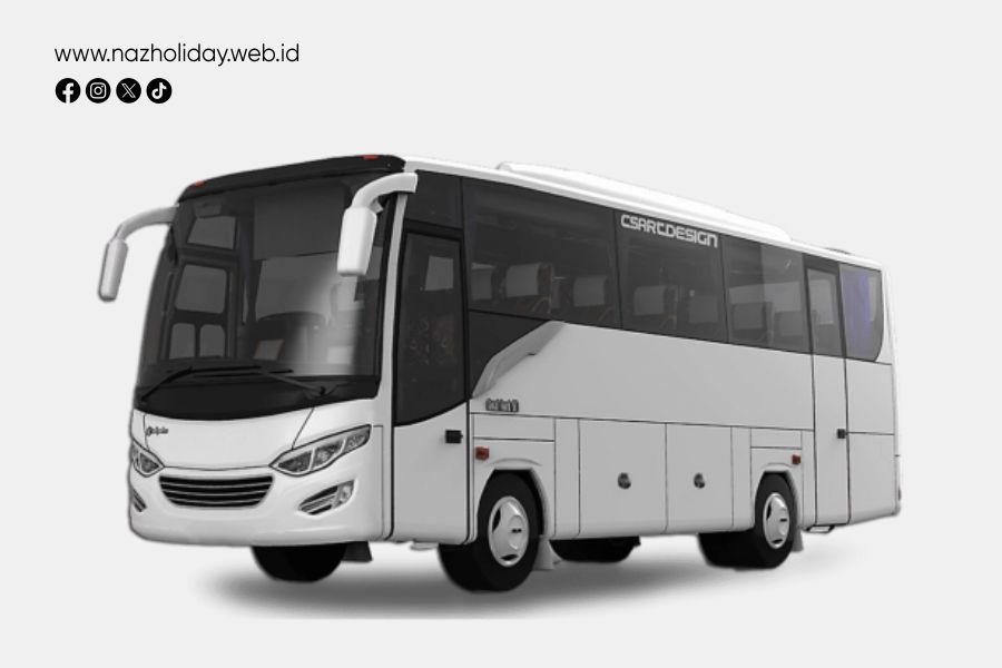 medium bus